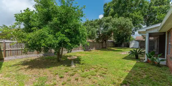 Image 2: Backyard