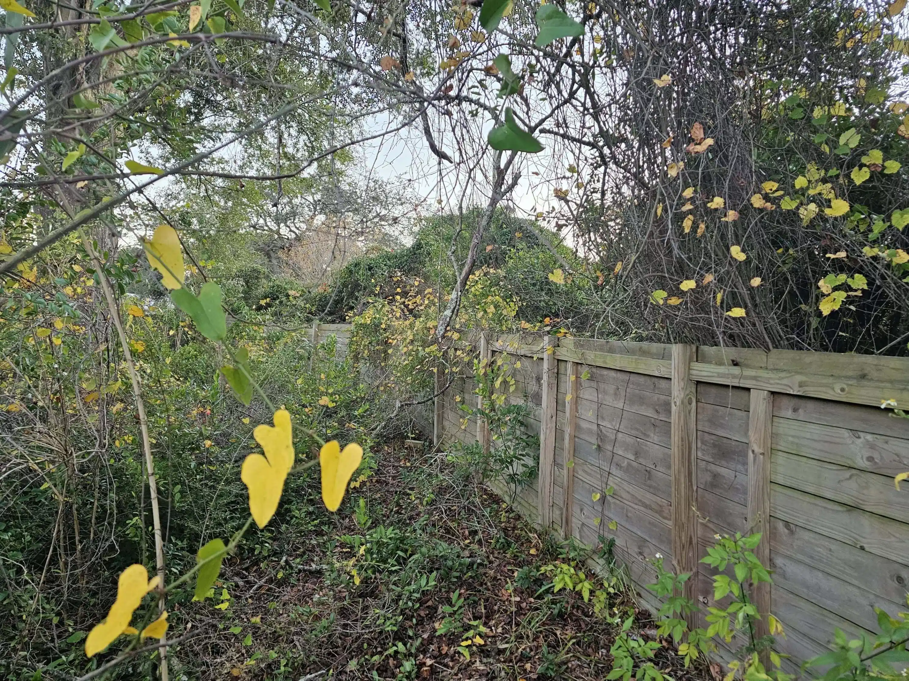 Image 1: 1