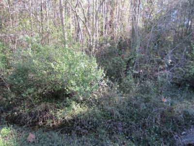 Lot 12 Churchill Bayou Road