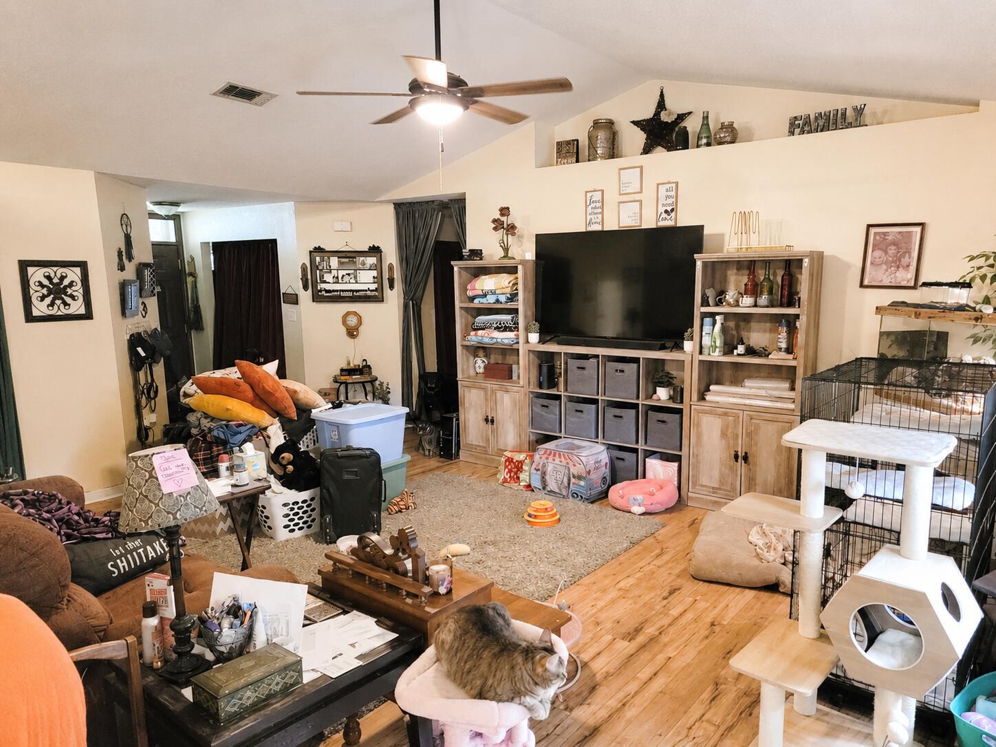 Image 2: Living Room