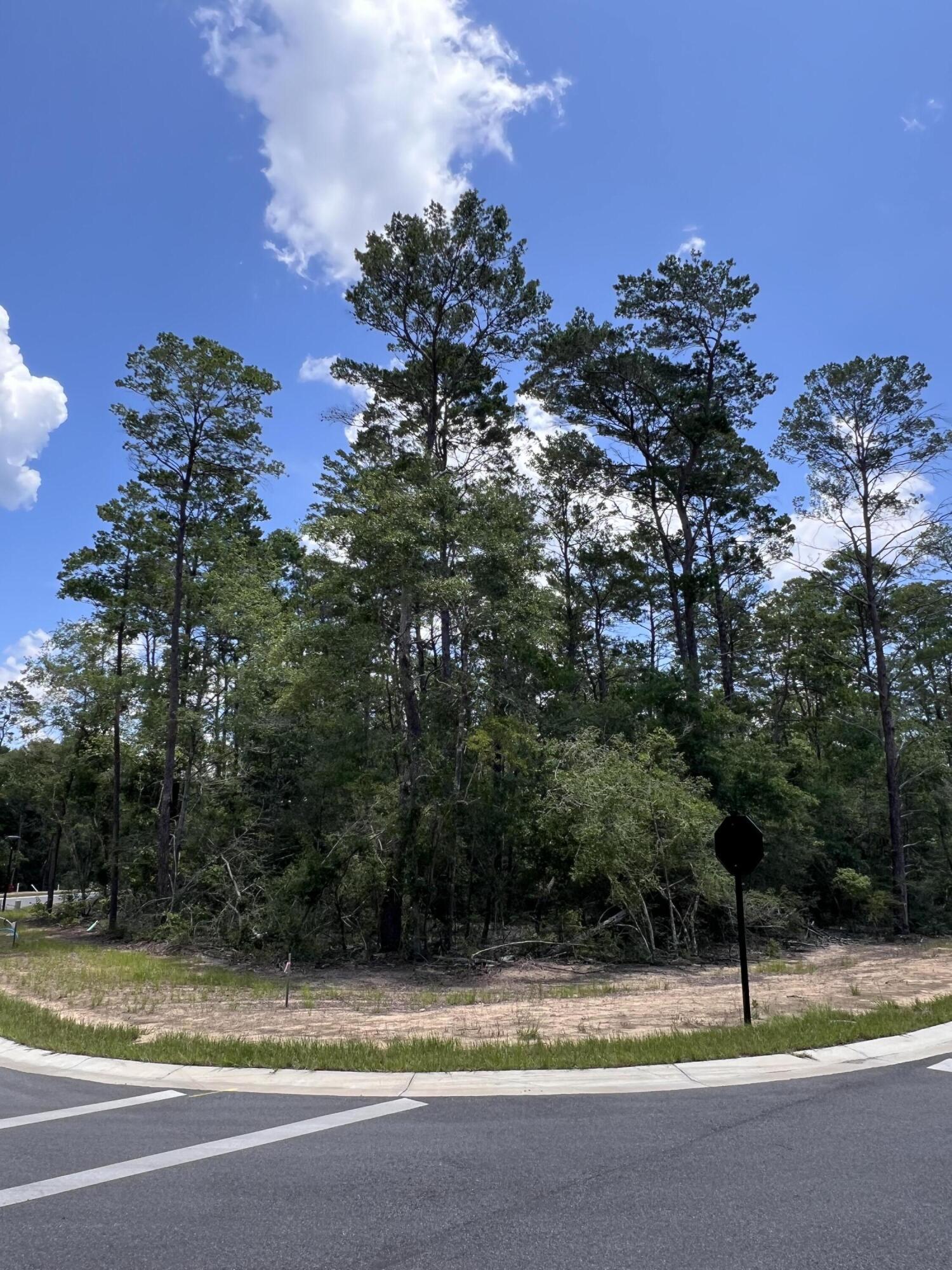 Image 1: 258 Foxglove lot photo