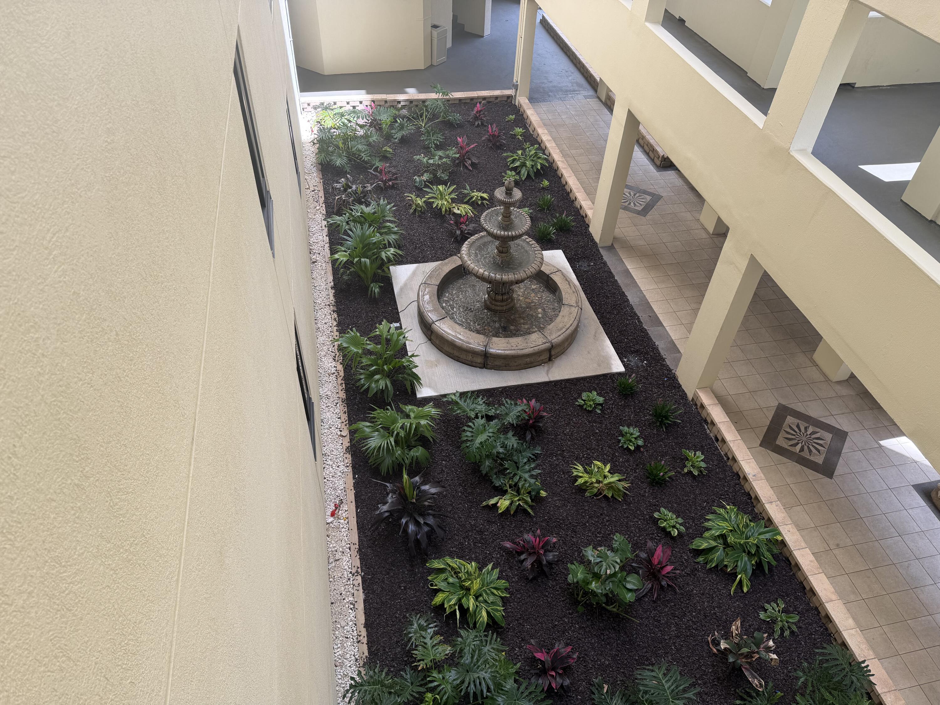 Image 3: IMG_8983