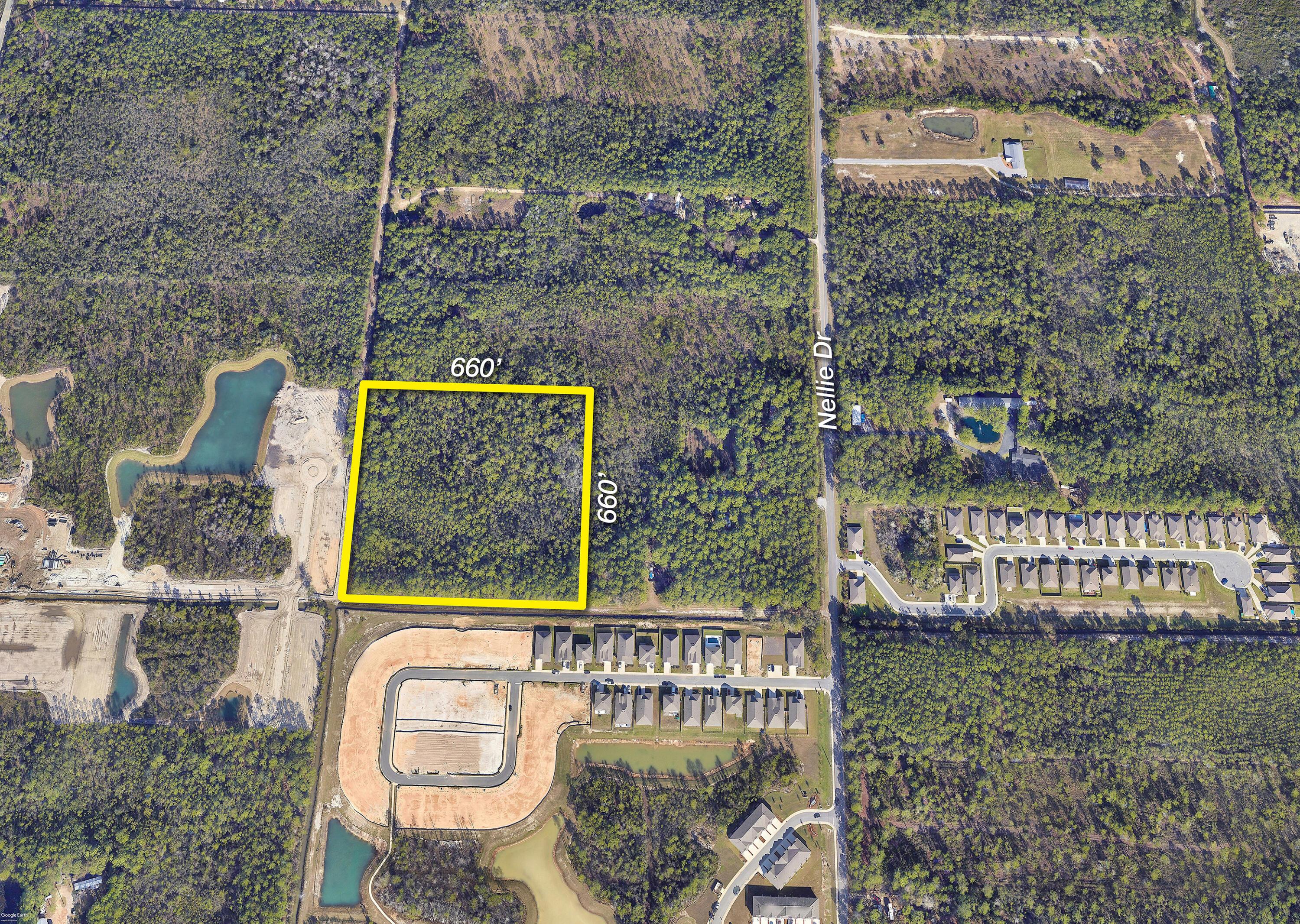 Image 3: 10 Acres Nellie