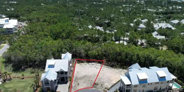 40 String Lily Cove Cove