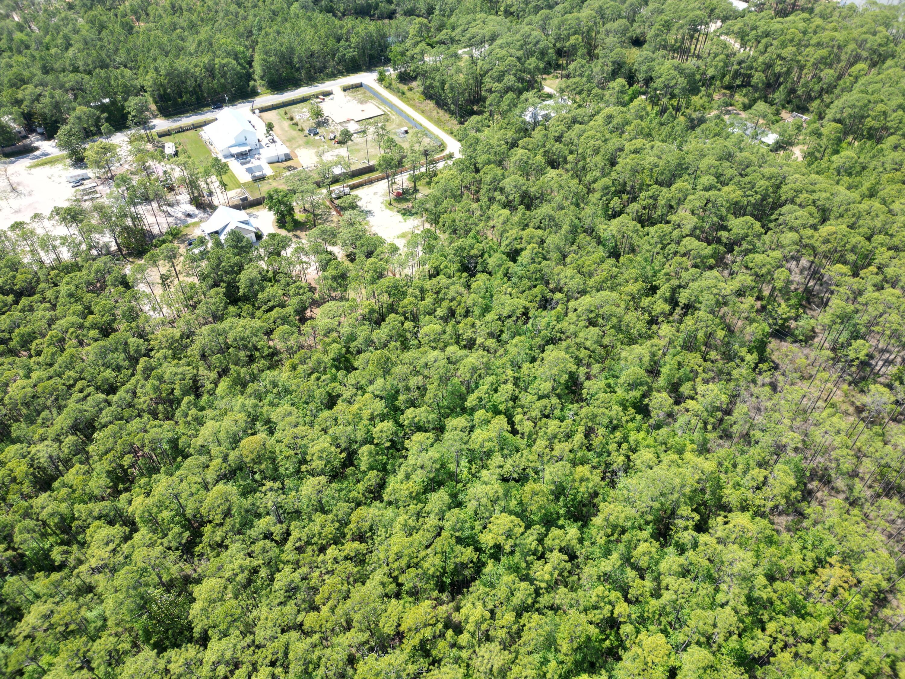 Image 3: DJI_0919