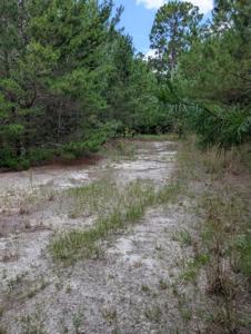 TBD Chief Bragg Drive