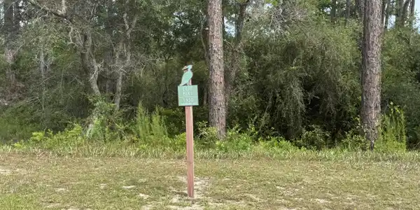 1530 Sharks Tooth Trail
