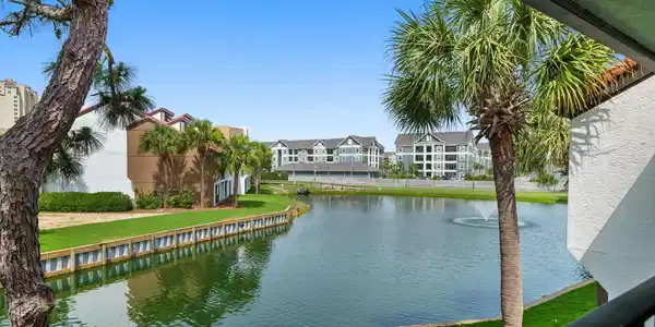Image 2: View of pond from back balcony