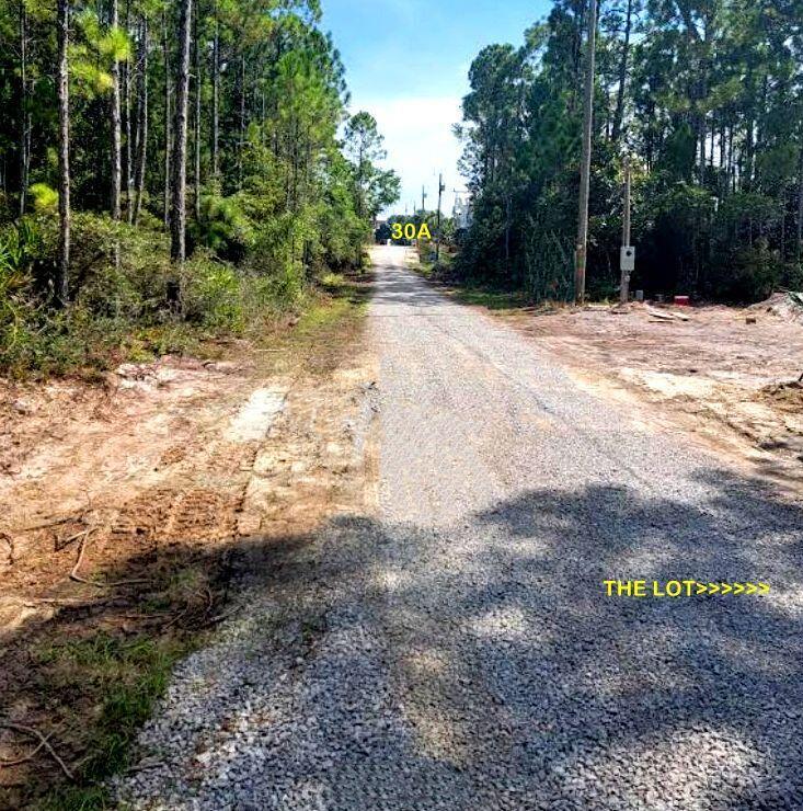Image 4: Pelayo Lot3 Facing South