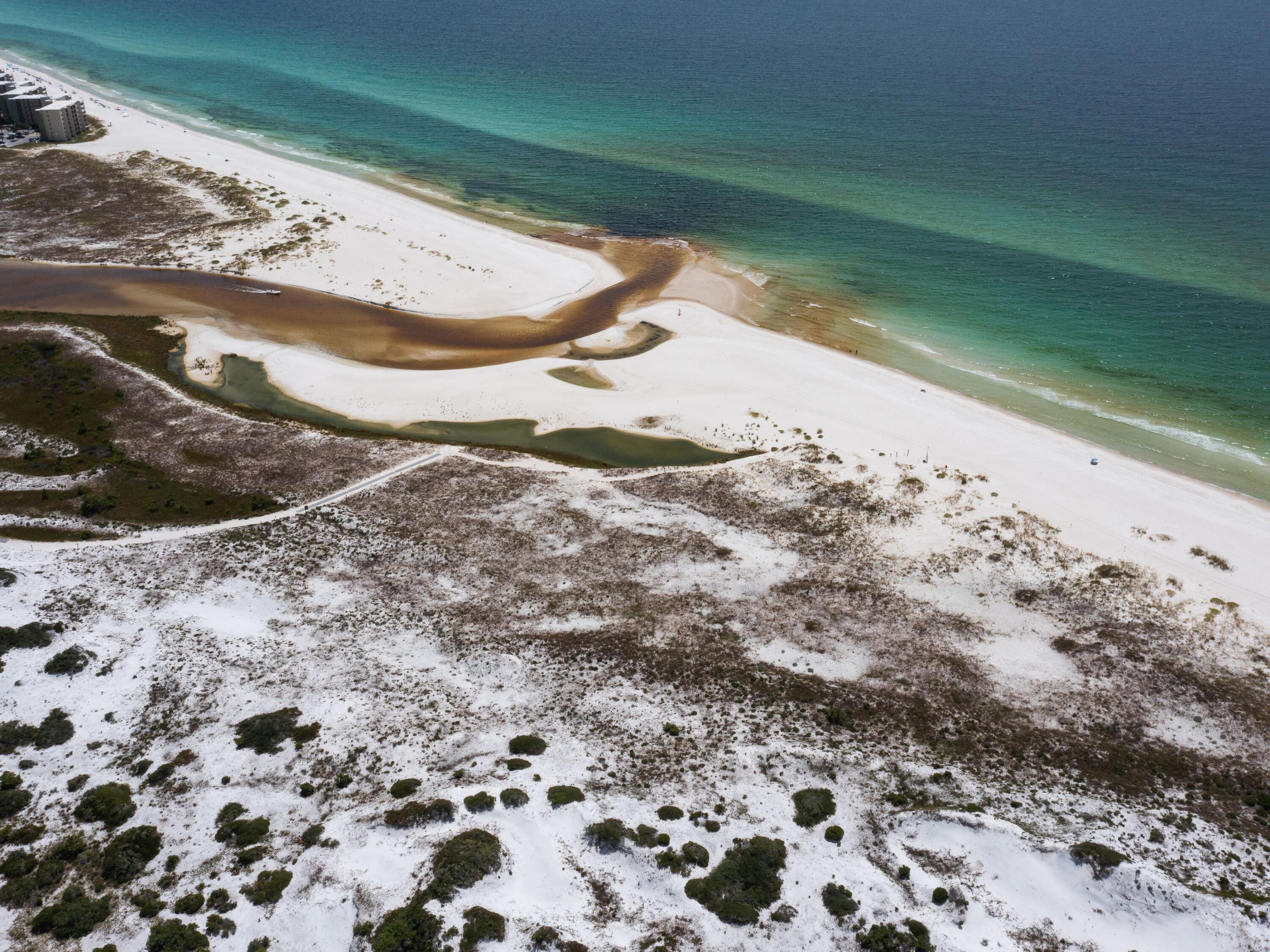 Image 4: photo_online_005