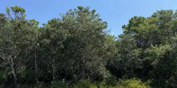 428 Lakefront Drive