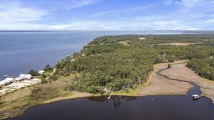000 Island Grove