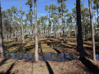 Lot 5 Foxmire Farm Road