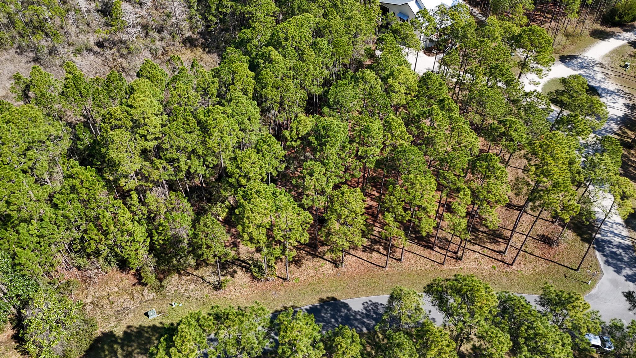 Image 4: Lot Aerial