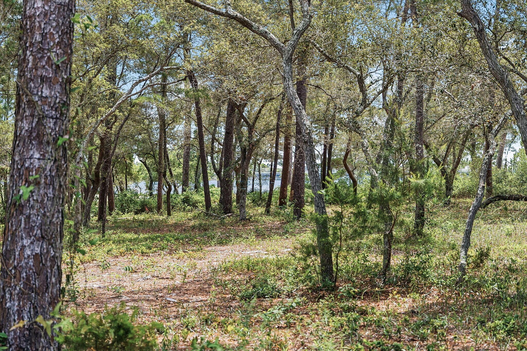 Image 4: Array_1506LosNinosCir-31