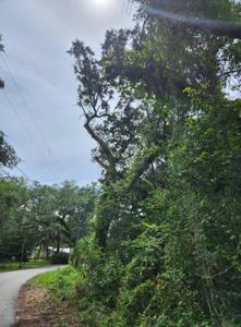 Lot 9 Sunset Trail