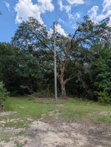 000 Chief Bragg Drive