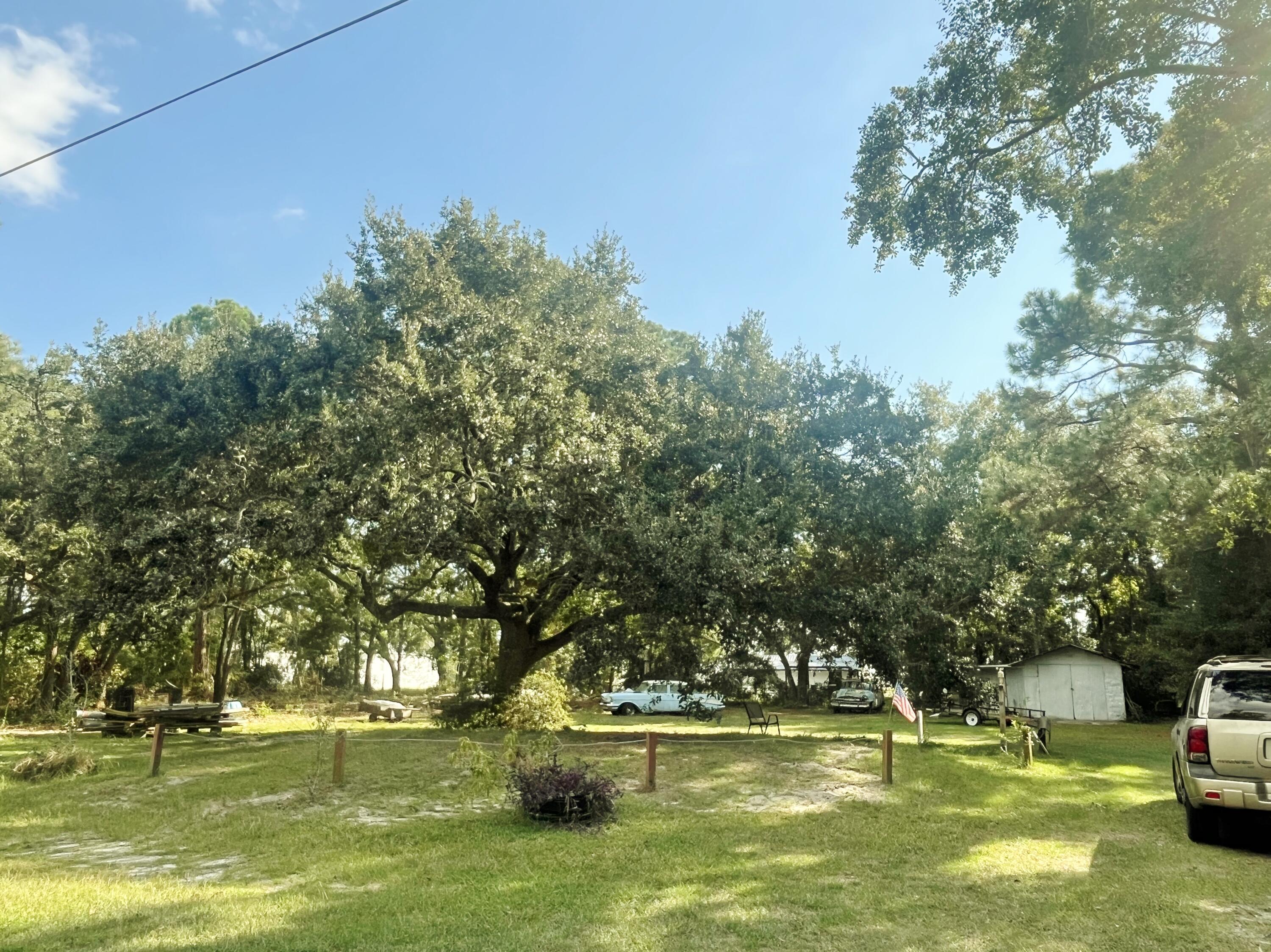Image 4: 75 Hankins Rd.