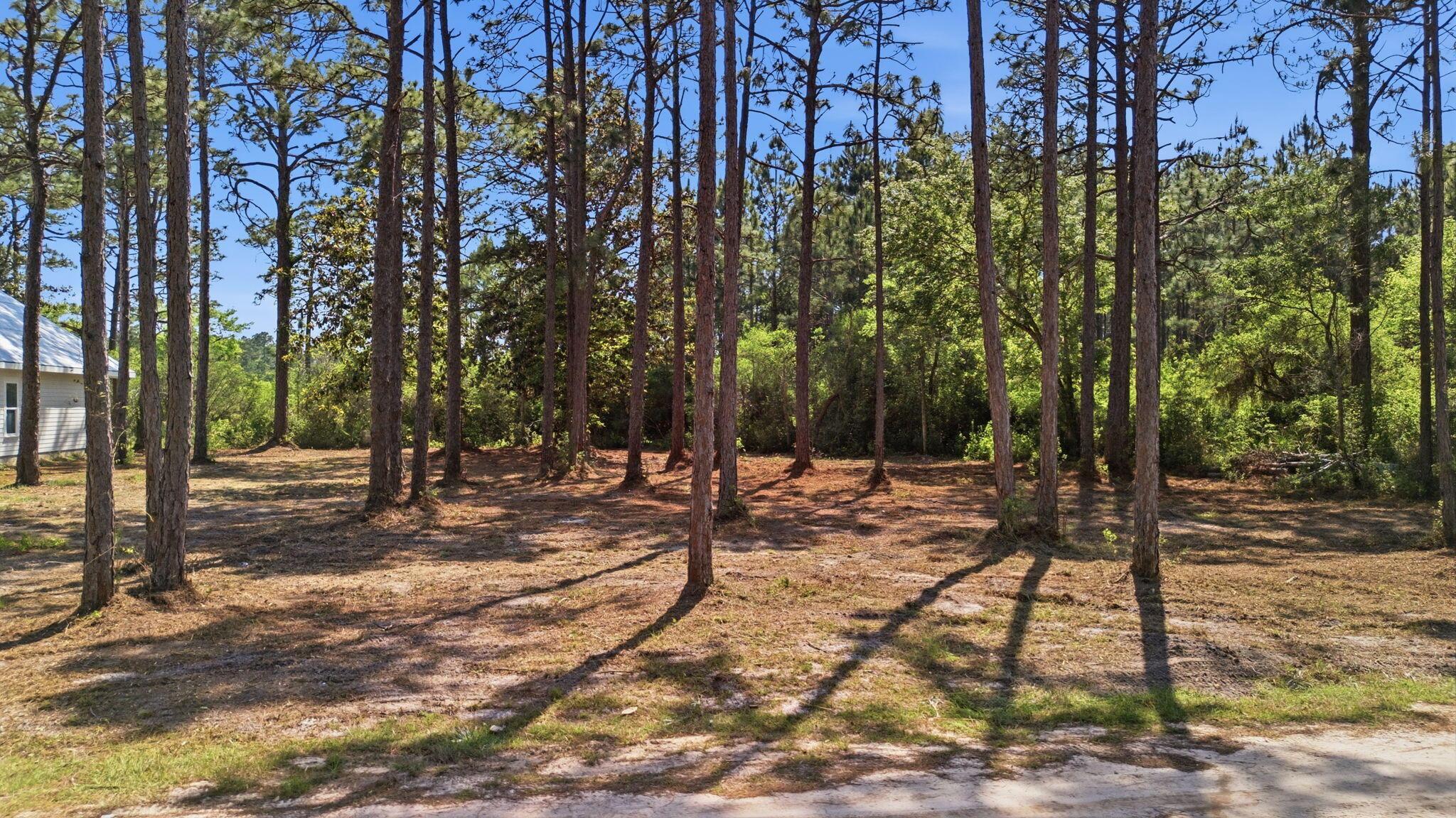 Image 4: 3-3-web-or-mls-dji_20260427145934_0806_d