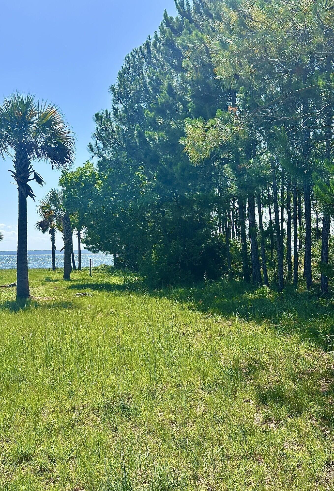 Image 3: 1021 Pearson, from road view