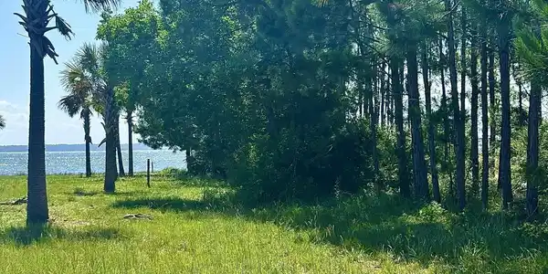 Image 3: 1021 Pearson, from road view