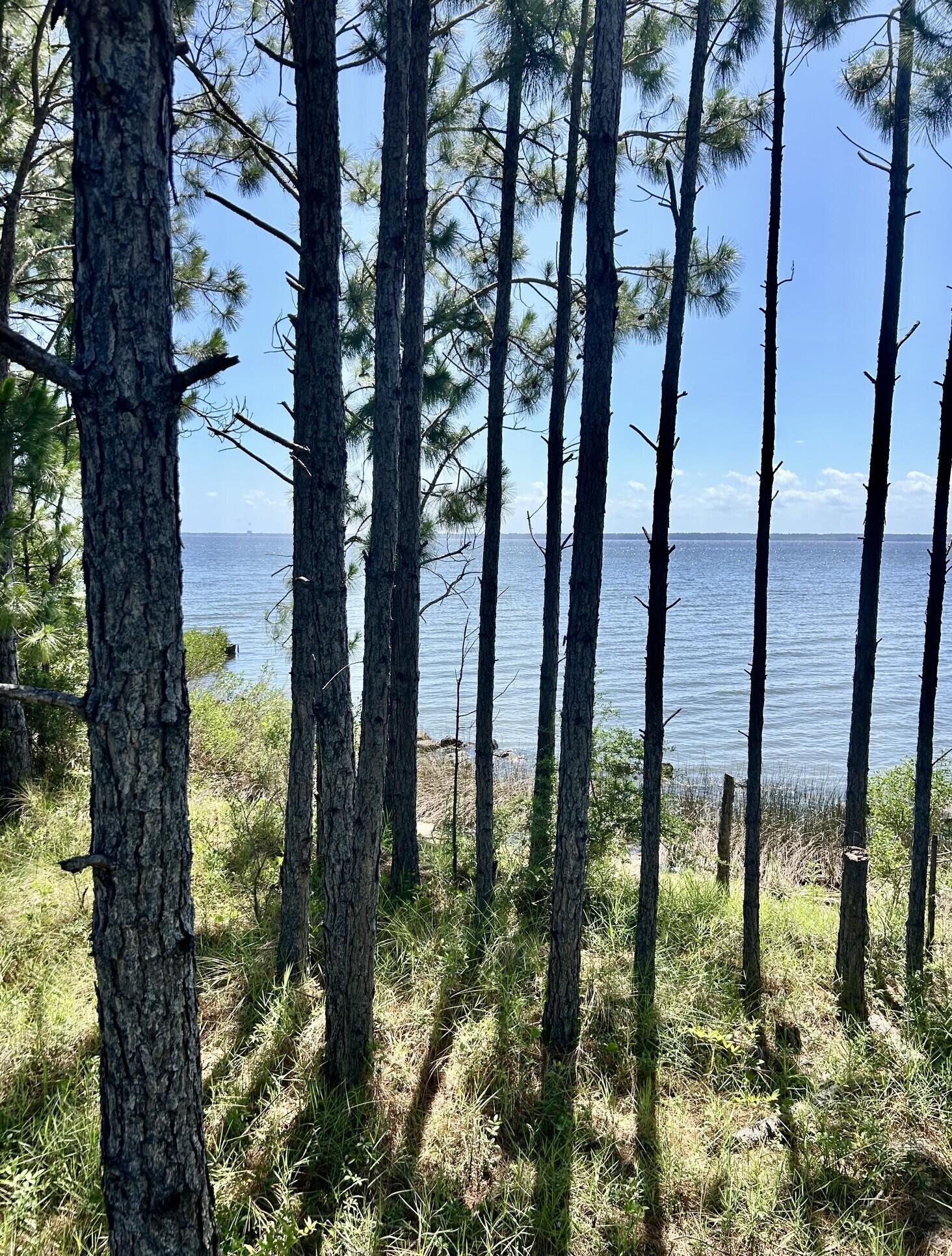 Image 4: 1021 Pearson lot