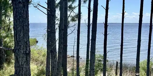 Image 4: 1021 Pearson lot