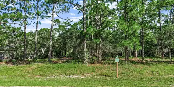Image 3: 1-web-or-mls-PANHANDLE - 22110 MARSH RAB