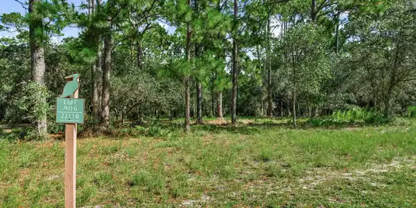 Image 4: 2-web-or-mls-PANHANDLE - 22110 MARSH RAB