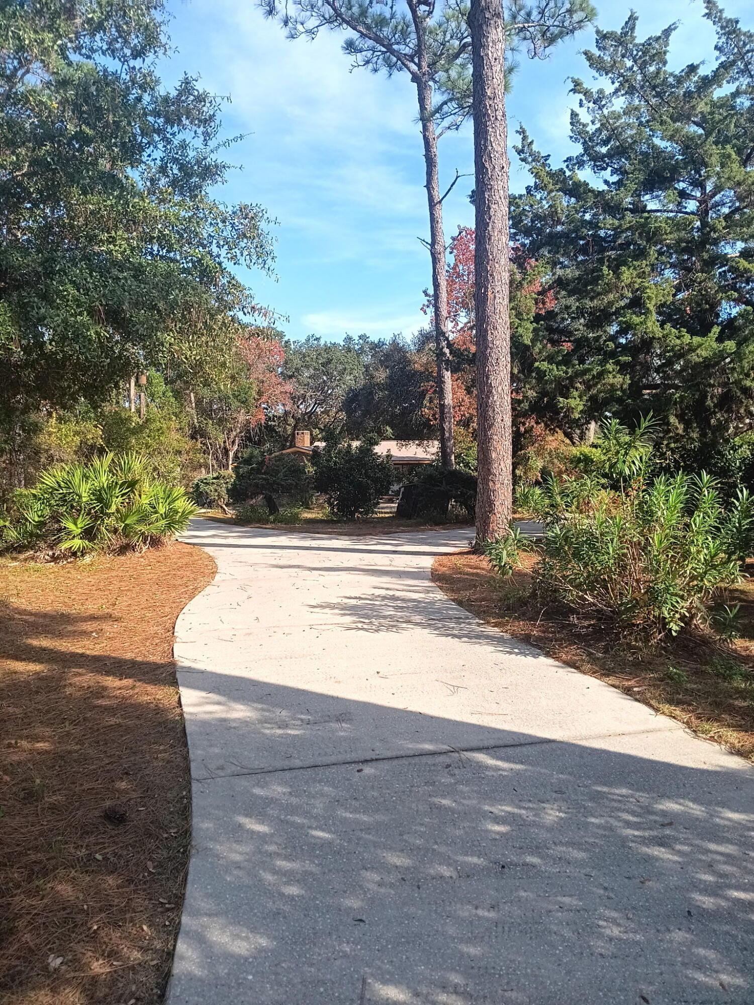 Image 4: 3362470558616518401