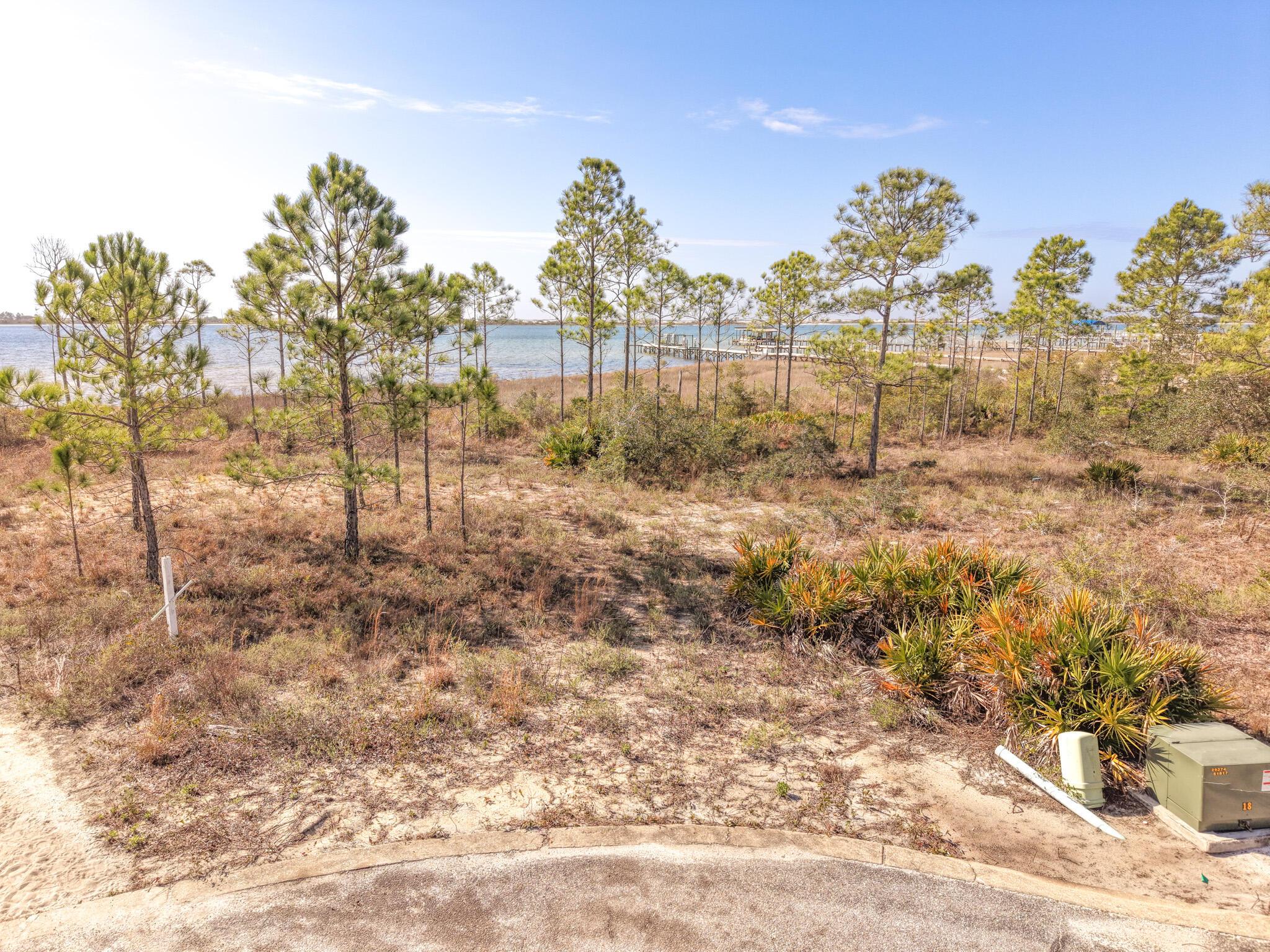 Image 2: DJI_20260304093945_0045_D