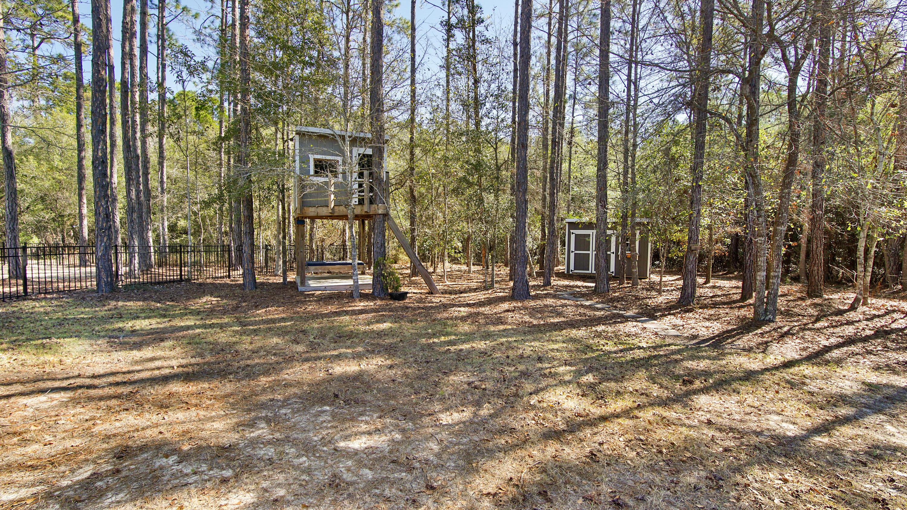 Image 3: Backyard