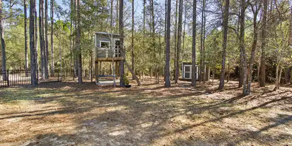 Image 3: Backyard