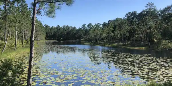 1521 Dune Lake Trail