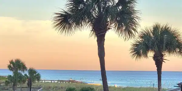 500 Gulf Shore Drive