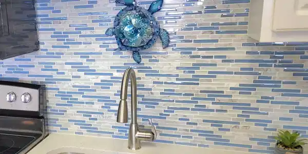 Image 4: turtle back splash