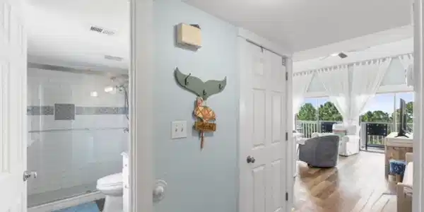 Image 4: No Rug