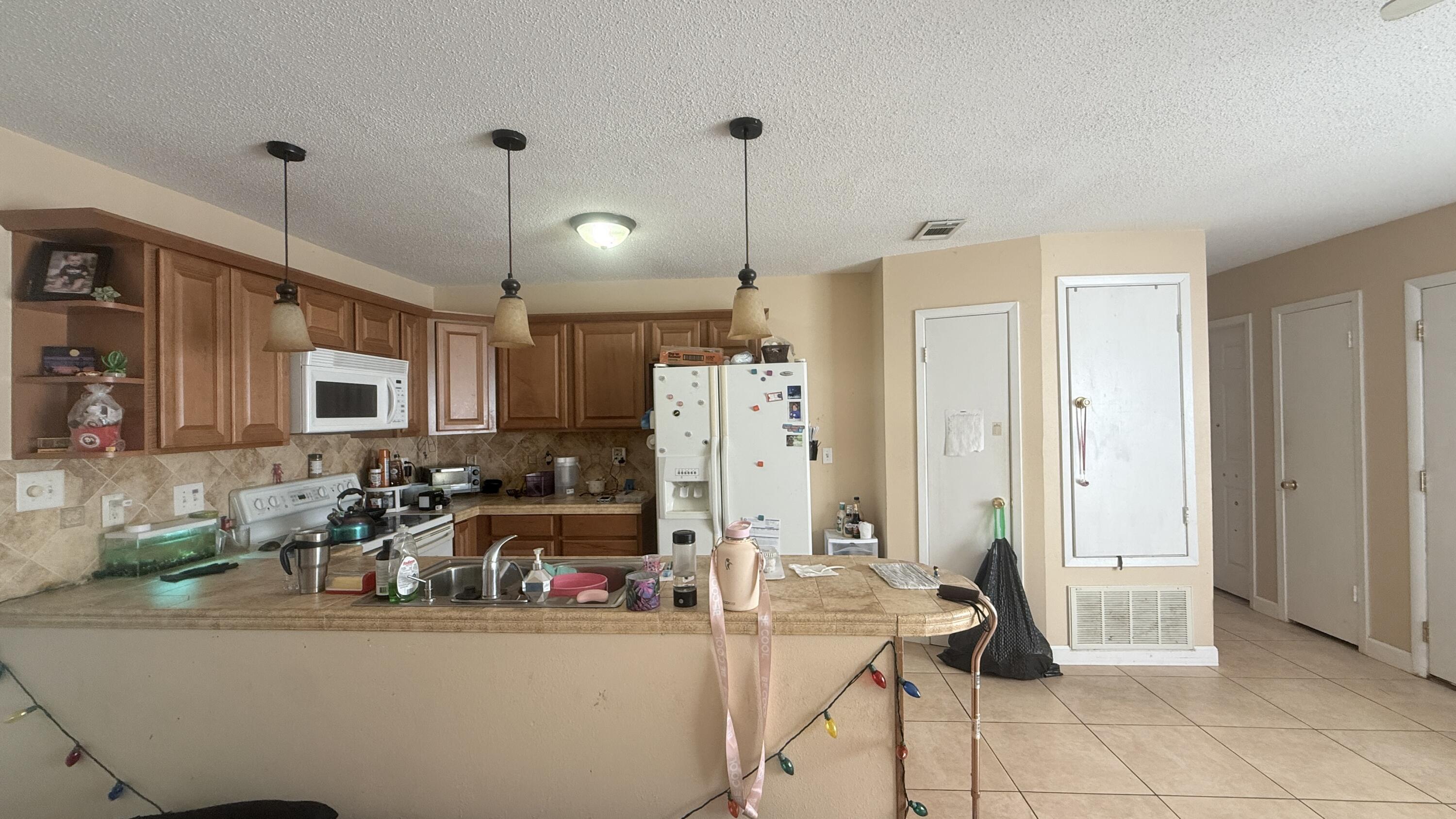 Image 3: IMG_2466