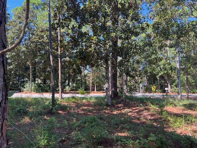 Image 2: Looking West from lot interior