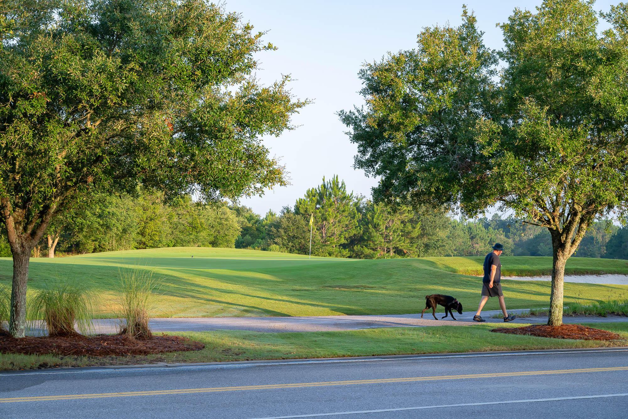 Image 4: WSO- Walking Trail 3