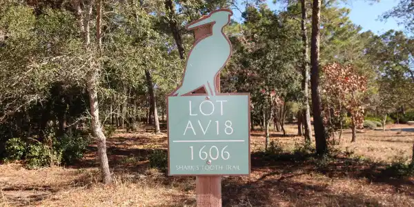 1606 Shark's Tooth Trail