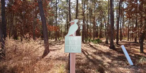 1707 Lost Cove Lane