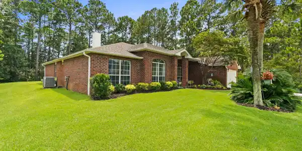 Image 3: BEAUTIFUL YARD