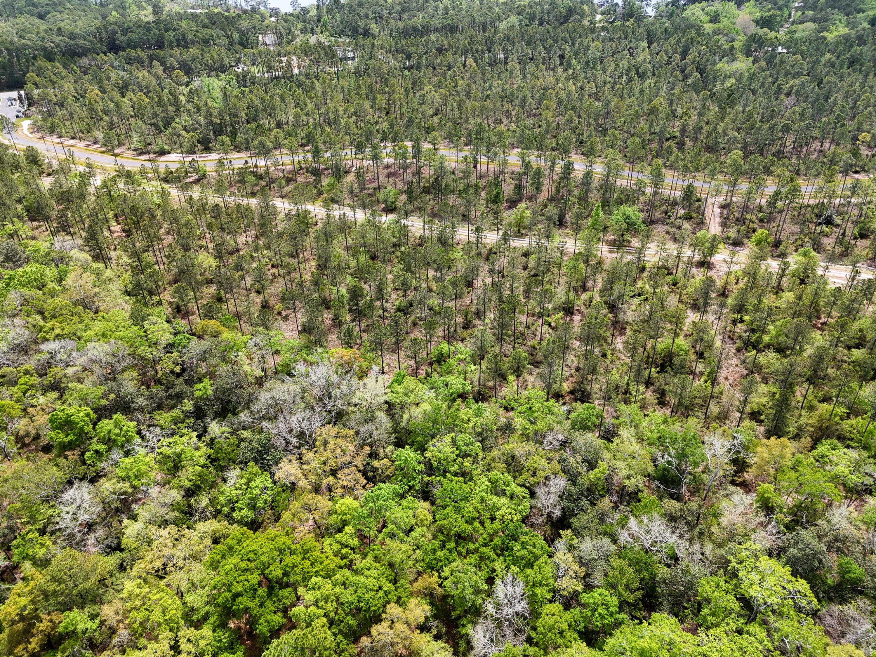 Image 4: DJI_20260403123853_0071_D