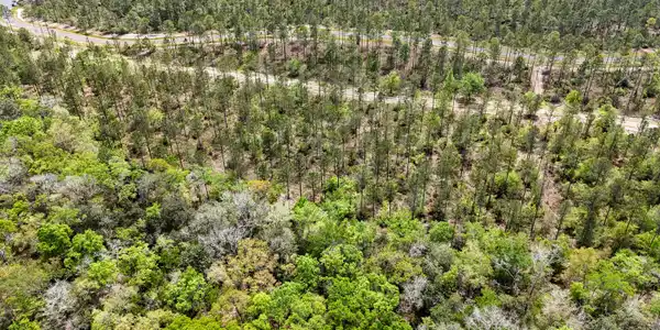 Image 4: DJI_20260403123853_0071_D