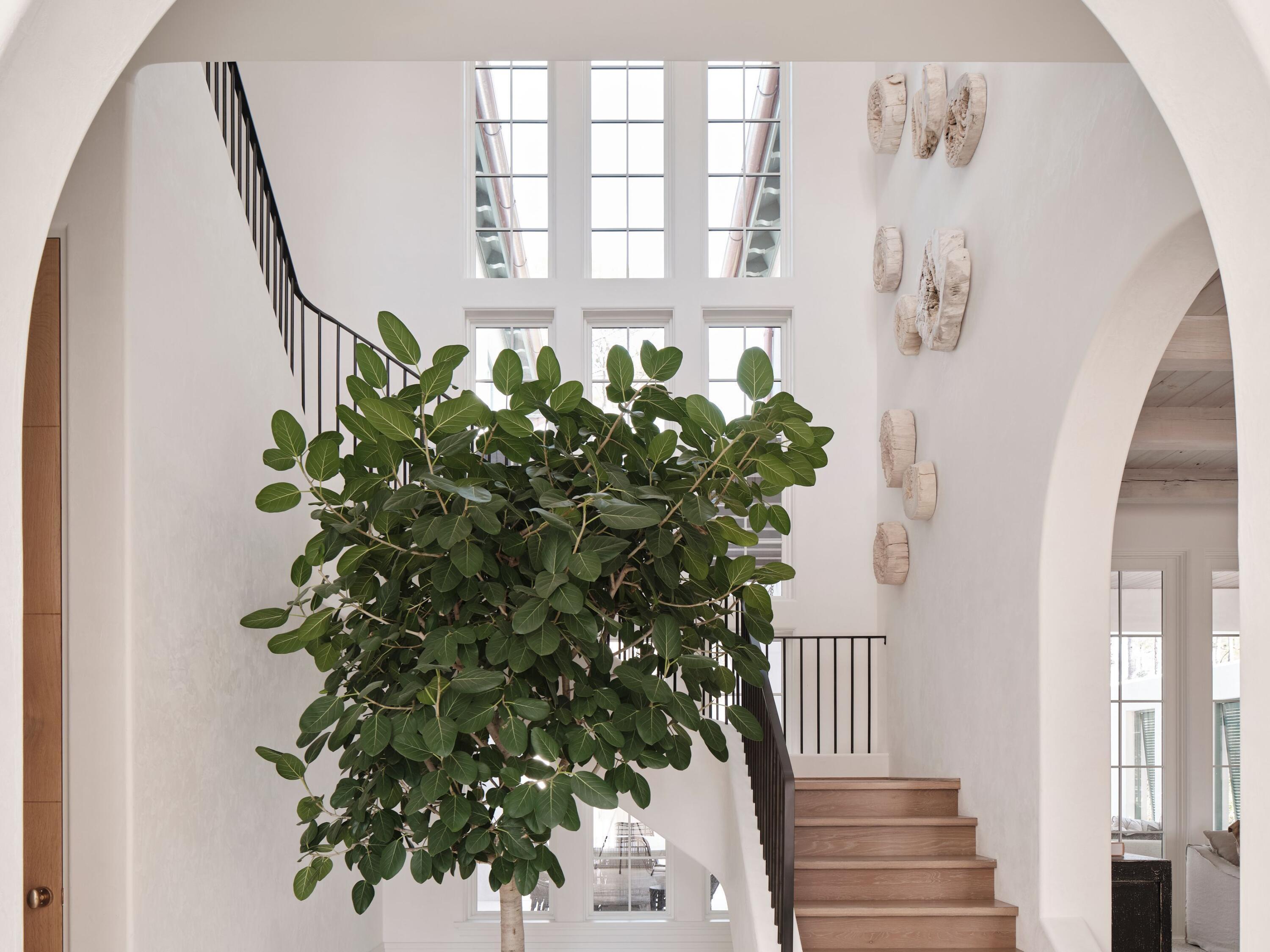 Image 2: photo_online_001