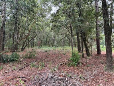 .91 Acre Mcinnis Street