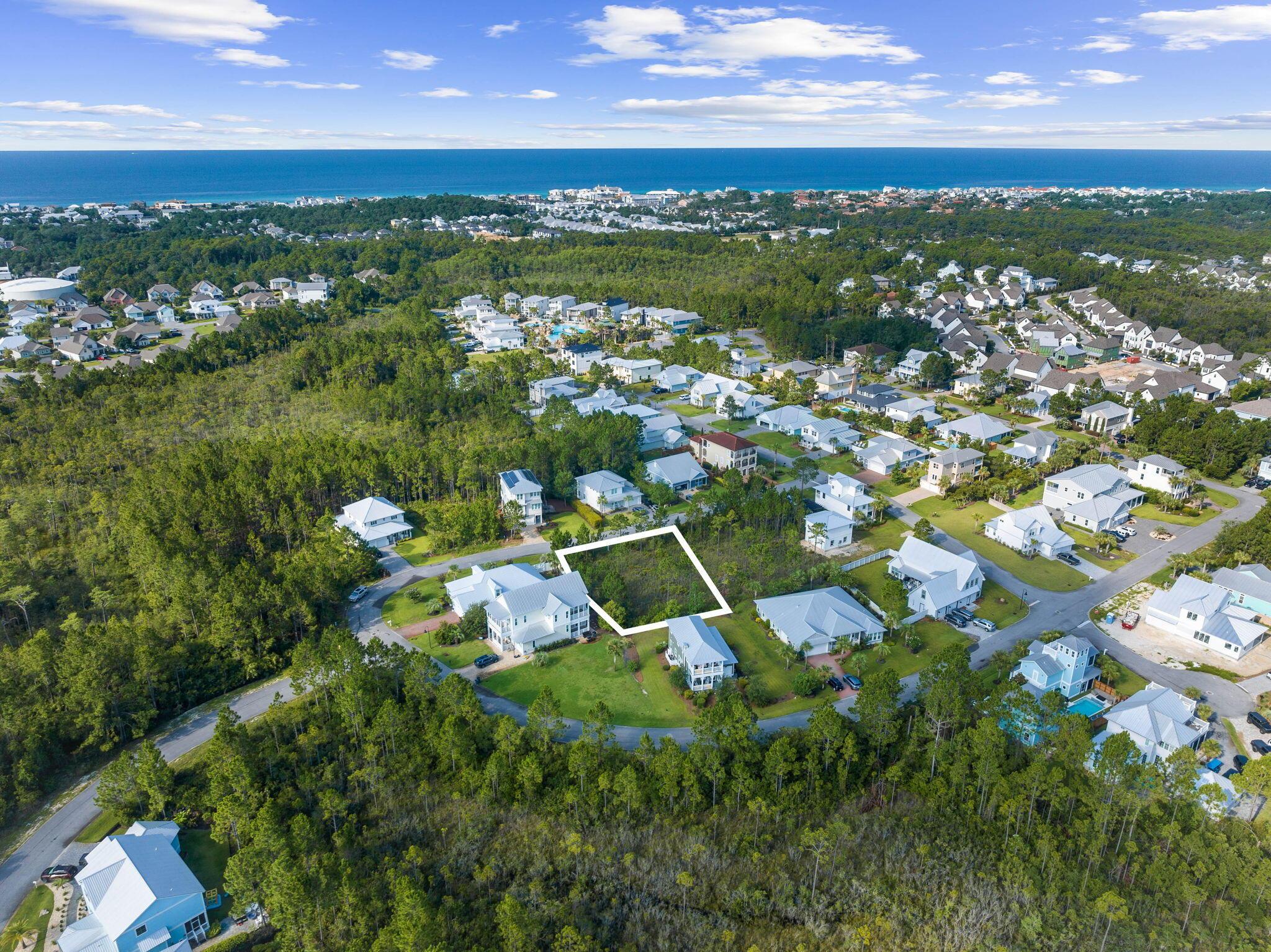 Image 1: Array_224PlantationCir-1-2
