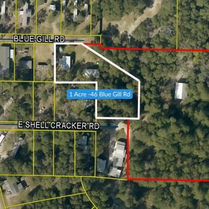 46 Blue Gill Road