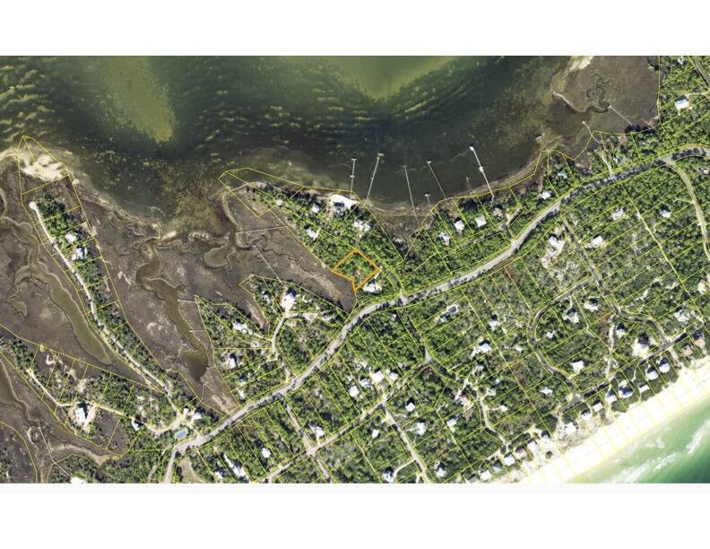 Image 1: revised dove